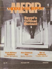 Egypt's Critical Moment