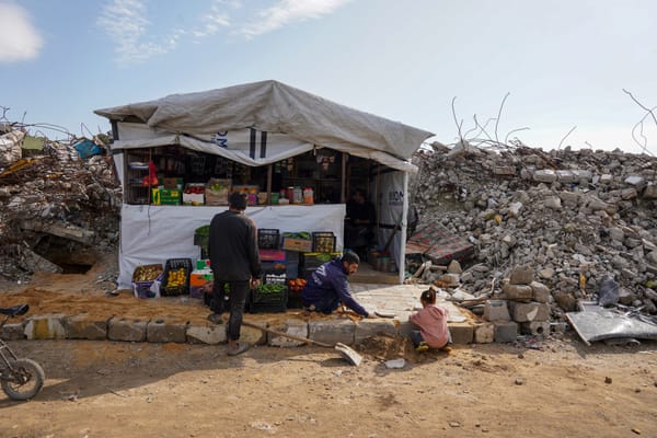 Mapping Destruction—A Conversation with Jamon Van Den Hoek of Conflict Ecology