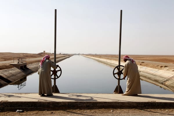 On Blaming Climate Change for the Syrian Civil War