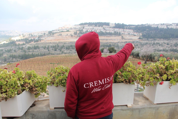 Indigenous Wine and Settler Colonialism in Israel and Palestine