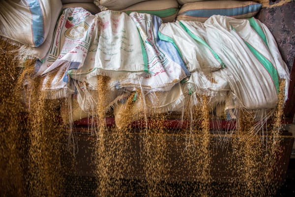 The Ukraine War, Grain Trade and Bread in Egypt