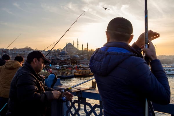 Orhan Veli's Poetry and the Struggle to Preserve Istanbul's Green Spaces