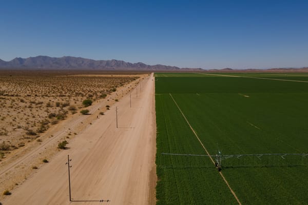 Extractive Agribusinesses—Guaranteeing Food Security in the Gulf